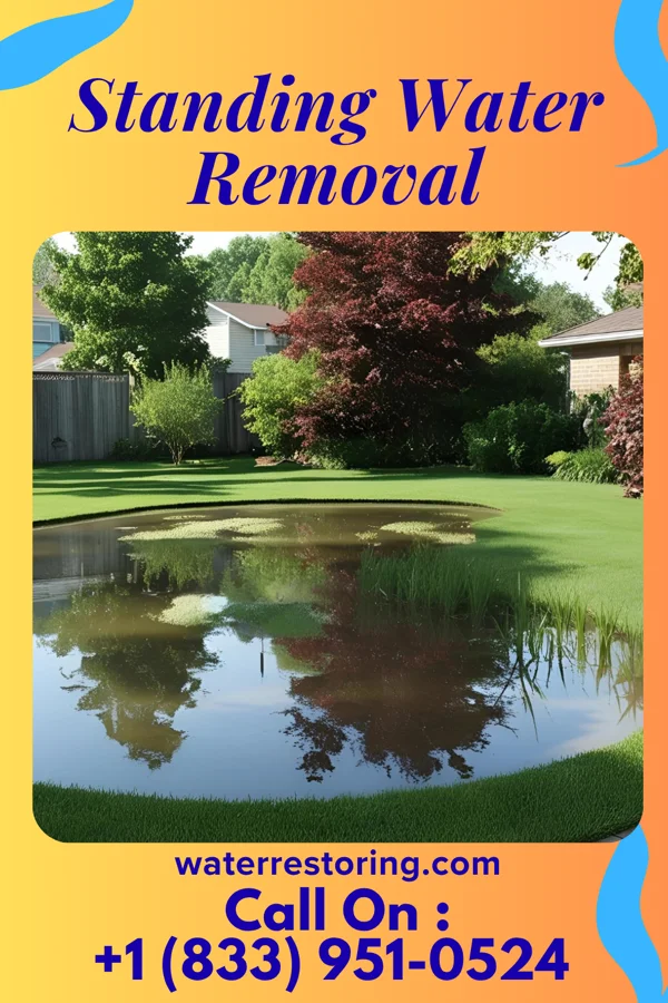 Standing Water Removal in Dennison, OH